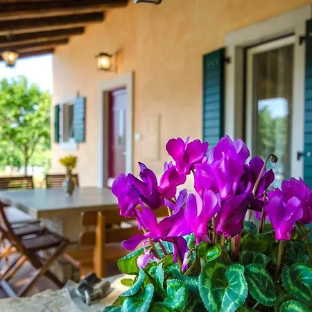 Milka Villa Rovinj